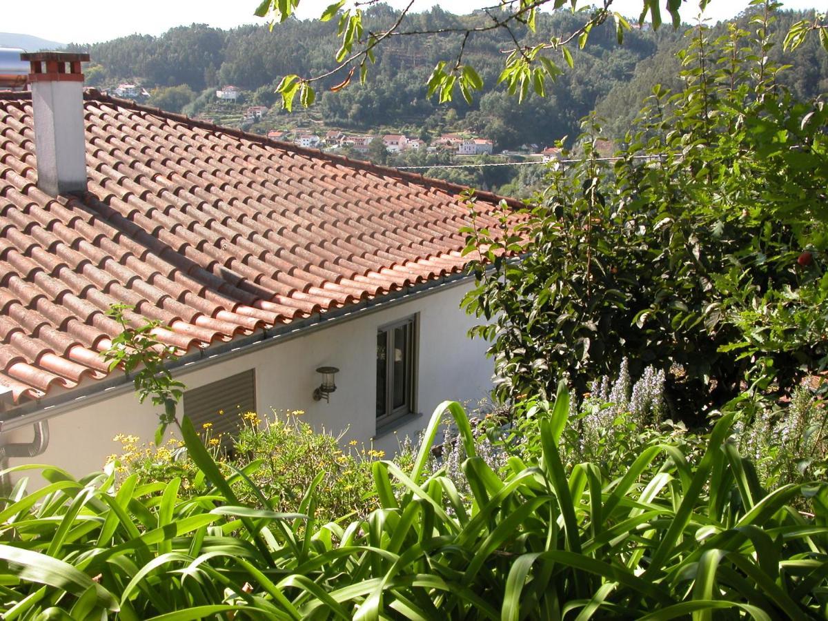 Willa Casa Do Outeiro Penacova Zewnętrze zdjęcie